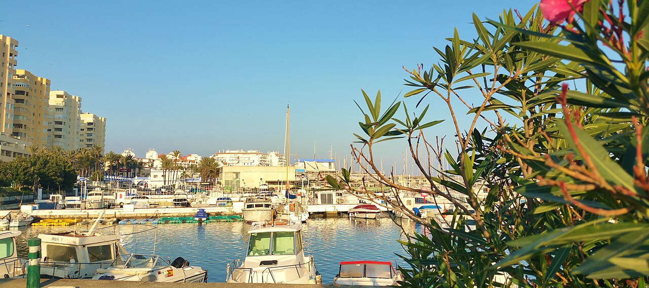 Estepona marina and beach panorama